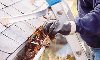 Gutter Cleaning in Charlotte NC Gutter Cleaning Services in Charlotte NC Cheap Gutter Cleaning in Charlotte NC Cheap Gutter Services in Charlotte NC Quality Gutter Cleaning in Charlotte NC Gutter Cleaning in NC Charlotte Gutter Cleaning Services in Charlotte NC Gutter Cleaning Services in NC Charlotte Gutter Cleaning in NC Charlotte Clean the gutters in Charlotte NC Clean gutters in NC Charlotte Gutter cleaners in Charlotte NC Gutter cleaners in NC Charlotte Gutter cleaner in Charlotte NC Gutter cleaner in NC Charlotte Affordable Gutter Cleaning in Charlotte NC Cheap Gutter Cleaning in Charlotte NC Affordable Gutter Services in Charlotte NC